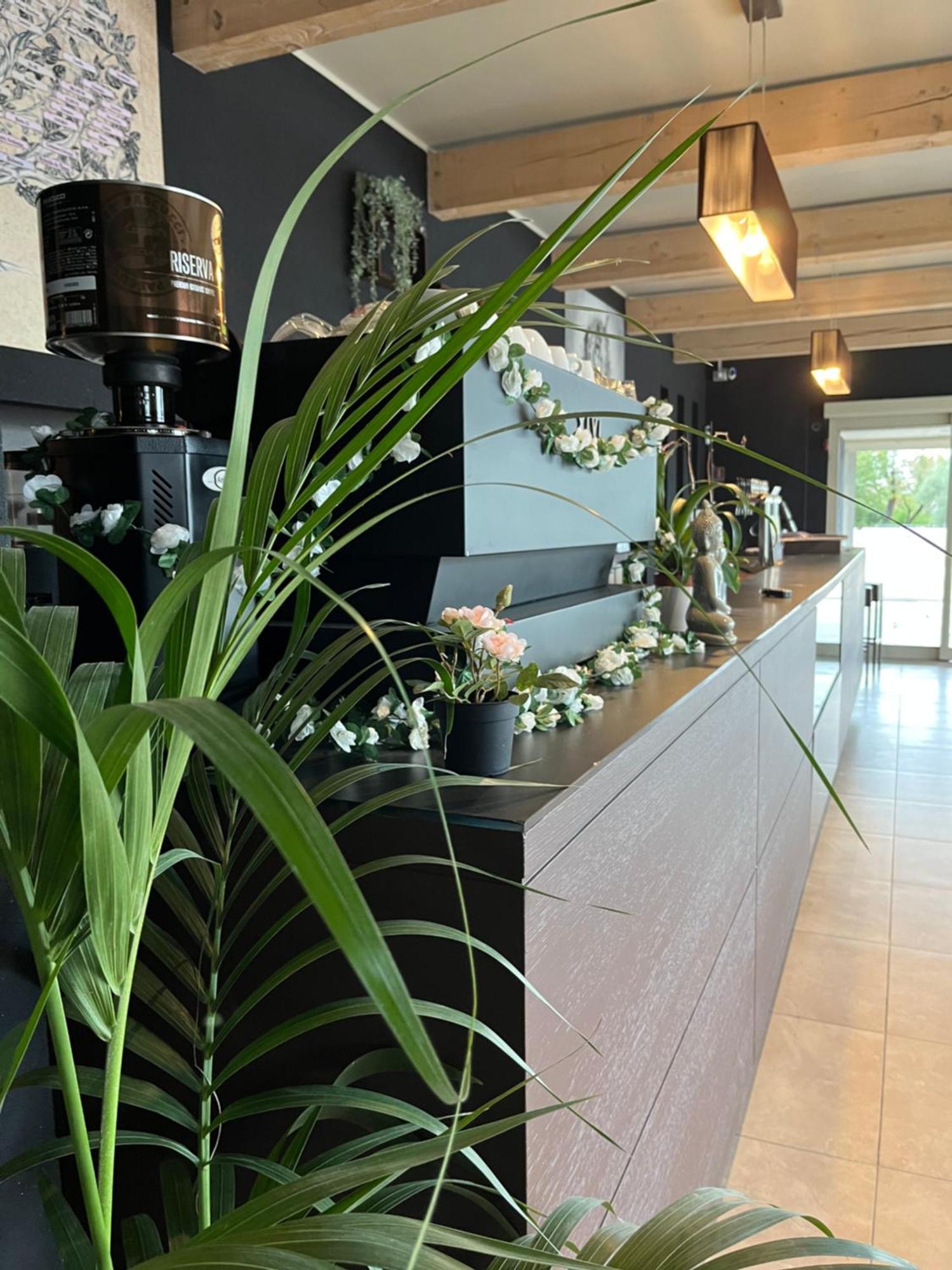 Bed & Breakfast La Rondinella Cerasolo Buitenkant foto